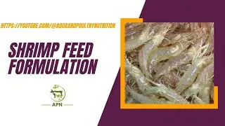 Shrimp Feed Formula