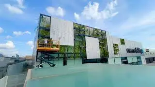 Vertical Garden Mallorca | Ok Mobility