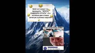 мем 82 #хочуврек #memes #мем