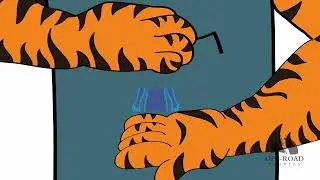 NimSep Intro Animation by OffRoad Studios - An Animation Marvel in Every Frame! ✨