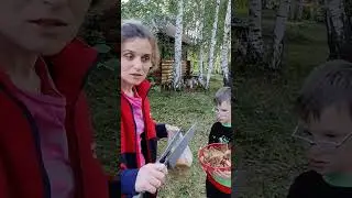 грибники, подскажите опята это или нет.