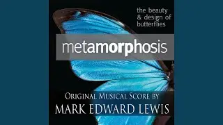 Metamorphosis Trailer 1 (Bonus Track)