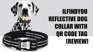 ILFINDYOU Reflective Dog Collar with QR Code Tag (Review)