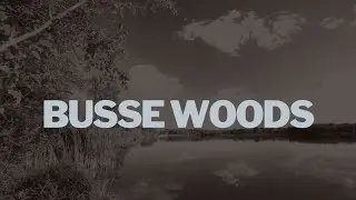 Busse Woods Hike - Forest Preserves of Cook County, Rolling Meadows, Red Paved Loop, Bicycle Trail
