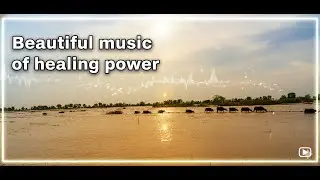 🌊 Relaxing Music &ndash; The Healing Power of Lake Views with Buffalo 🐃✨