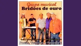 Desabafo de Vaqueiro