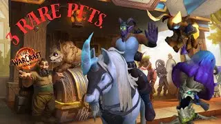 Как получить 3 редчайших питомцев в WoW: The War Within &ndash; Полный гайд!