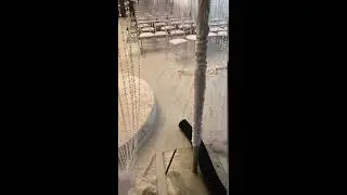 Low Fog Generator. WEDDING - 4 [REHEARSAL]