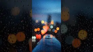 City Lights Through the Rain: A Moody Urban Scene