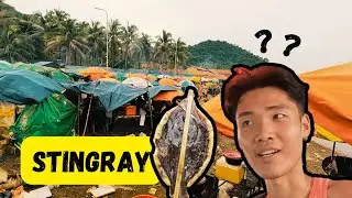 Cambodian Exotic Seafood Market | Kampot | Travel Vlog
