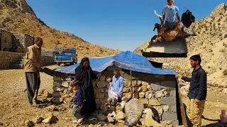Nomadic Life: Nomadic Shelter Building 🐑 | Nomadic Animal Care in the Mountains 🌄
