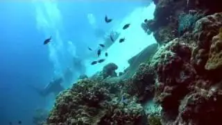 Diving Koh Tachai North, Similan Islands, Thailand