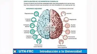UTN - Córdoba: CICLO INTRODUCTORIO I.U.: CLASE 9
