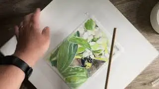 Tearing Watercolor Paper Deckled edge rustic/raw look!