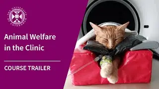 Animal Welfare in the Clinic | University of Edinburgh Short Online Course | Trailer