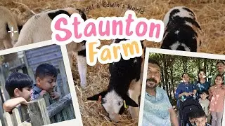 Staunton Farm Visit