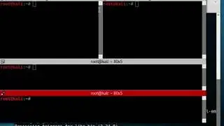 kali linux-Split Terminal Window