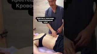 Кровообращение тазобедренного сустава.