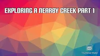 Exploring A Nearby Creek Part 1