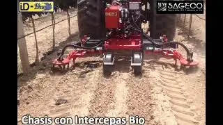Intercepas Bio SAGECO