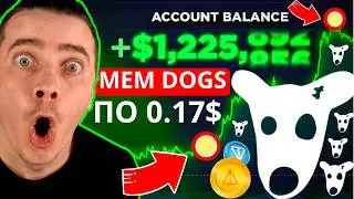 🔥СРОЧНО!🚀 DOGS ЗАРЯЖАЮТ К 0,17$! 🟢 МЕМ ДОГС УЛЕТИТ И ЗАРАБОТАЕТ ВАМ СОСТОЯНИЕ! [РЕАЛЬНЫЕ 84 ИКСА]