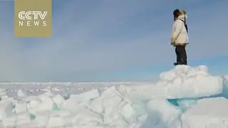 Canada turns over Arctic leadership to US
