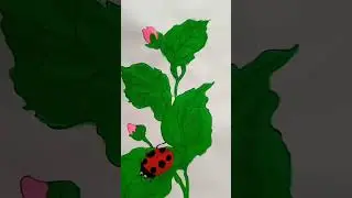 #bug drawing