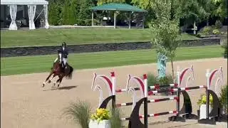 Hummer Z in the $38,700 FEI Welcome- 1.45m