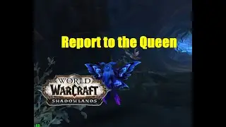 World of Warcraft. Quests - Report to the Queen
