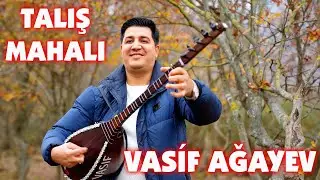 Vasif Agayev - Talış Mahalı (Toloşə məhol) - 2026