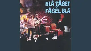 Hal is (Live)