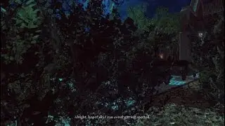 Lust For Darkness: Dawn Edition 1