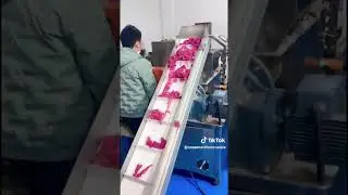 This Soap Machine Will Make You Rich In 6 Months #Machine