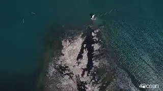 4Ocean Launches New Cleanup Division in Haiti - Unravel Travel TV