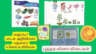 7TH SCIENCE, TAMIL MEDIUM, TERM 2, CELL BIOLOGY BOOK BACK QUESTION ANSWERS MARKED AND EXPLAINED 