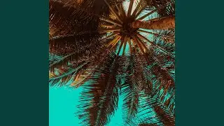 Tropical Vibe
