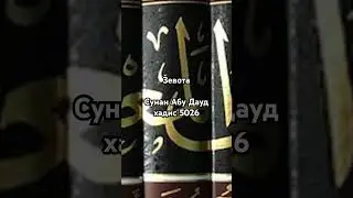 О зевоте. Сунан Абу Дауд, хадис 5026
