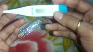 Hicks Digital Thermometer