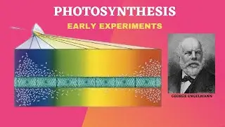 Photosynthesis, early experiments by Priestly, Engelman etc.