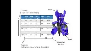 Iris Dataset Machine Learning Tutorial | Supervised Learning Step-by-Step (Part 1)