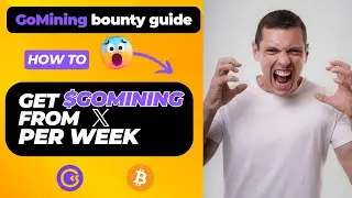 GoMining X Bounty Guide: Connect Twitter & Get Paid with TweetScout! 💰