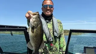 Summer Bass Delta Fishing (Frogging/Punch)