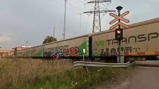 Tasoristeys - Stora Enso Oyj 1 (211+040), Anjalankoski #Inkeroinen