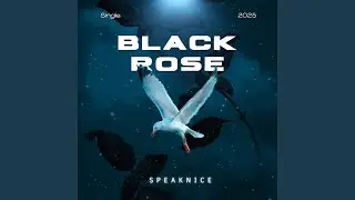 Black Rose