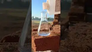Ethanol vs sodium | #shorts #shortvideo #shorts #short #chemistry #youtubeshorts #science #viral