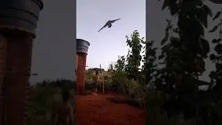O avi&atilde;o est&aacute; caindo #avi&atilde;o