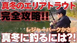 真冬の釣り釣果を求めるとこうなる！水温が低ければこう攻めろ！必ず釣れる！必ず役に立つ！　真冬のボトム攻略方法！！水温２度。気温4度。レジャーパークかさま さん　3号池を攻略する！！！