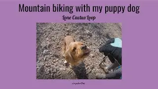 Lone Cactus Loop, Fantasy Island: Mountain biking with my puppy dog #cockerspaniel #womenmtb