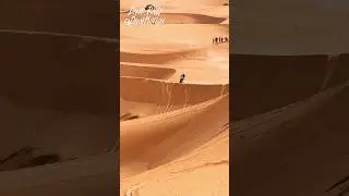 Dakar vibes 🌪️🔥 #dakar2026 #offroad #motorsport