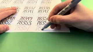 Writing #78358